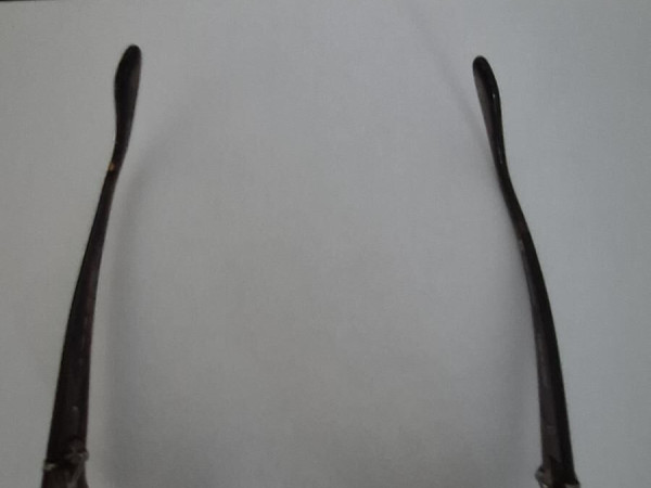 Paul & Joe  - Magie02 Ecco cat 2 56□13 130