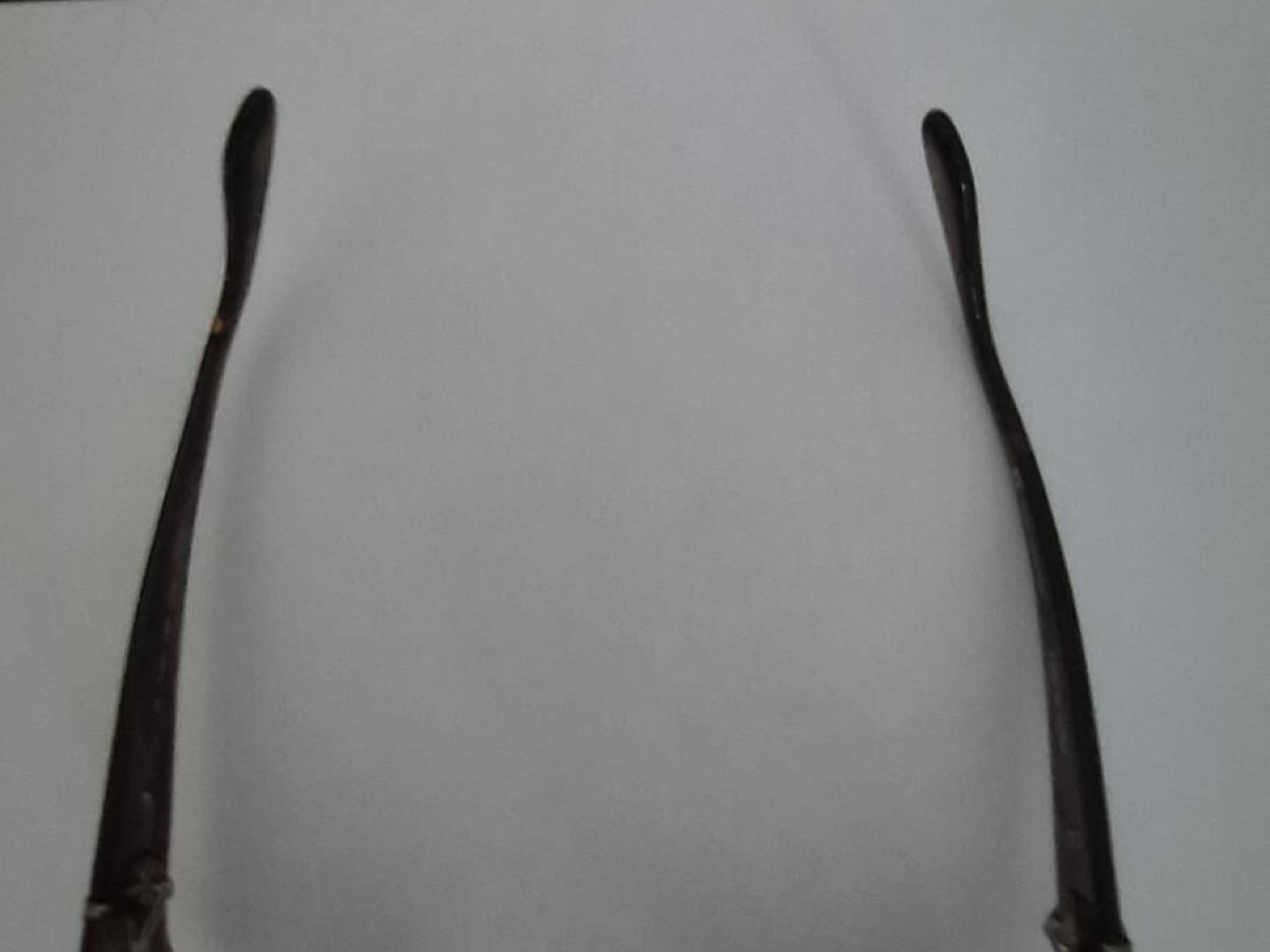 Paul & Joe  - Magie02 Ecco cat 2 56□13 130