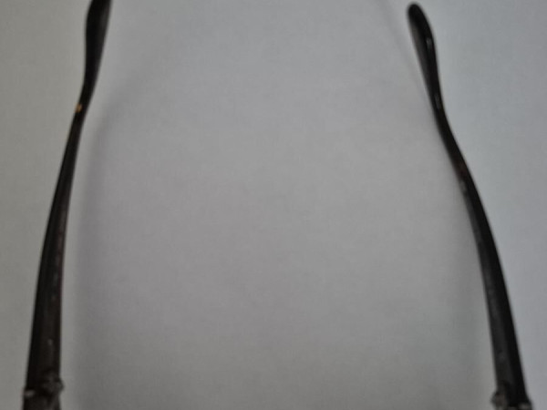 Paul & Joe  - Magie02 Ecco cat 2 56□13 130