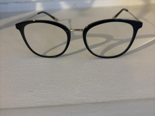 Woodys - Goose 01 49&curren;19