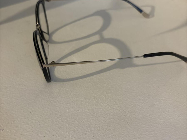 Woodys - Goose 01 49&curren;19