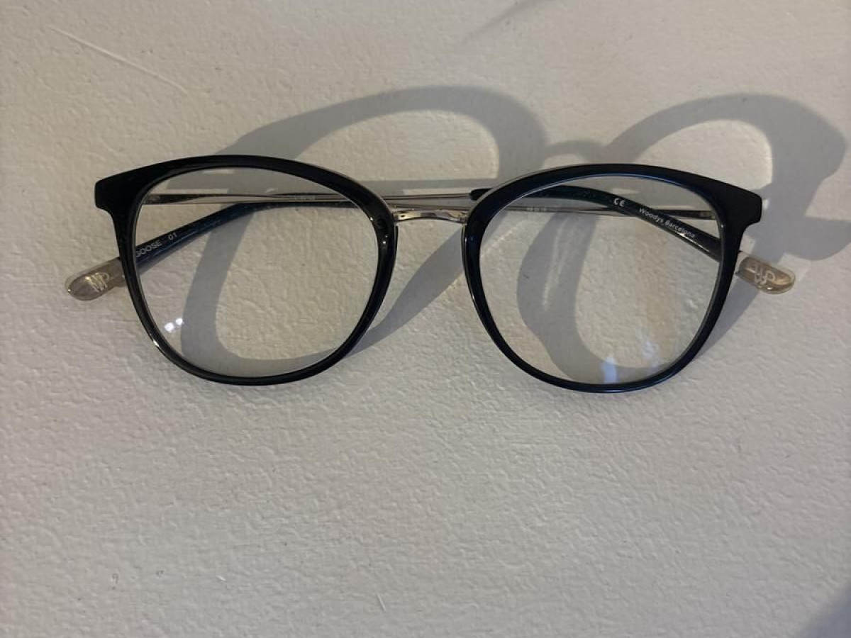 Woodys - Goose 01 49&curren;19