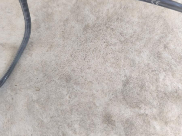 Paul and joe - Cl&eacute;matis 92 bl72 52&curren;17