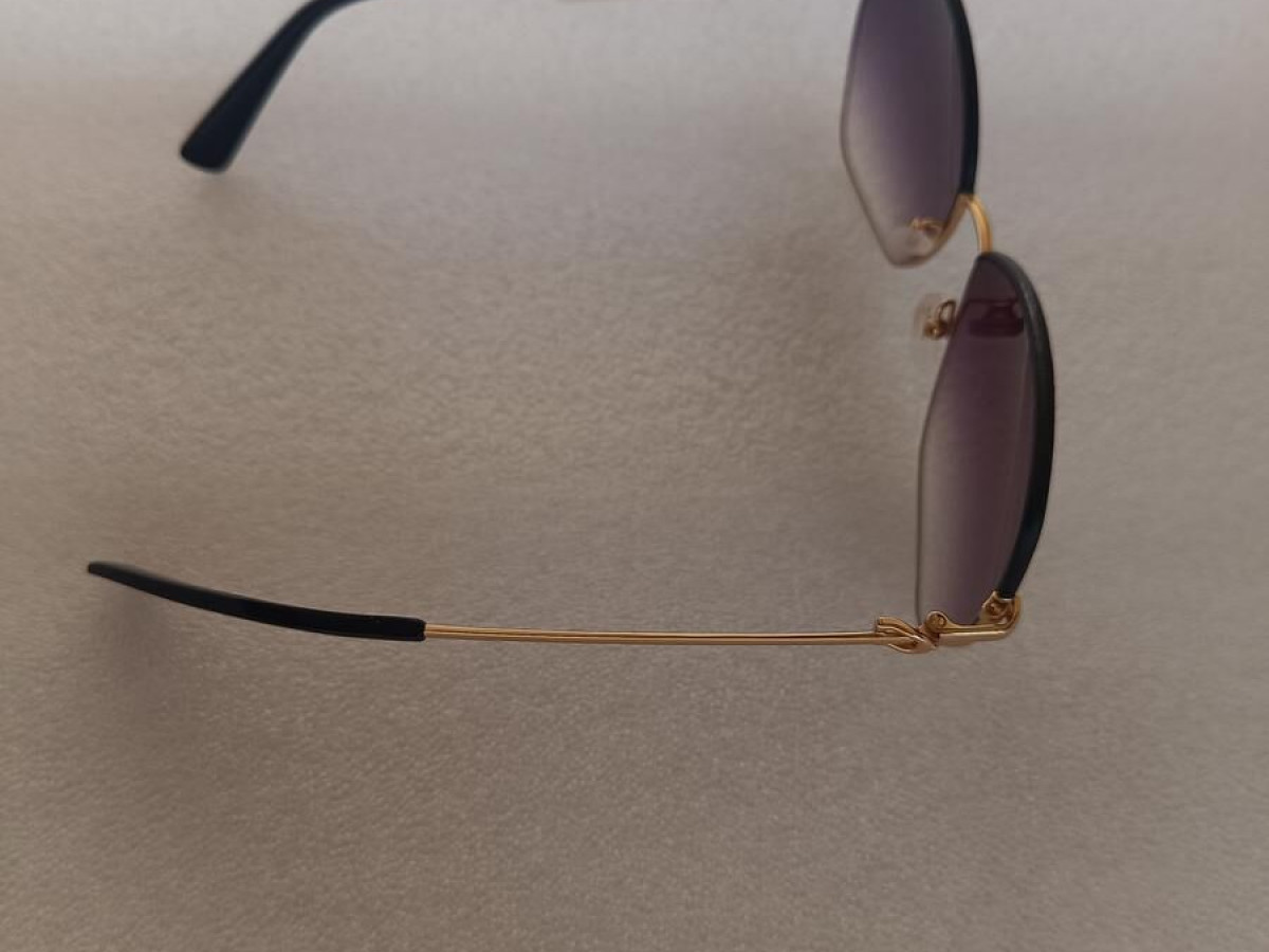 Longchamp  - LO156SL 60&curren;14