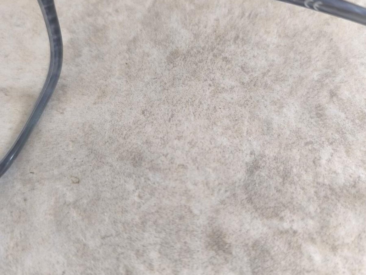 Paul and joe - Cl&eacute;matis 92 bl72 52&curren;17