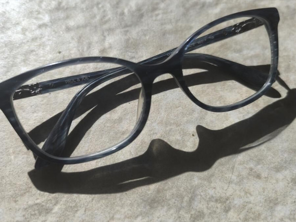 Paul and joe - Cl&eacute;matis 92 bl72 52&curren;17