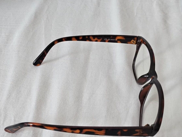 Le petit lunetier - Alisson