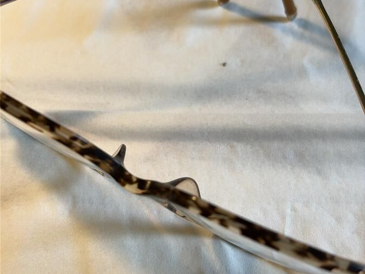 Zadig & Voltaire - VZV328  53&curren;17