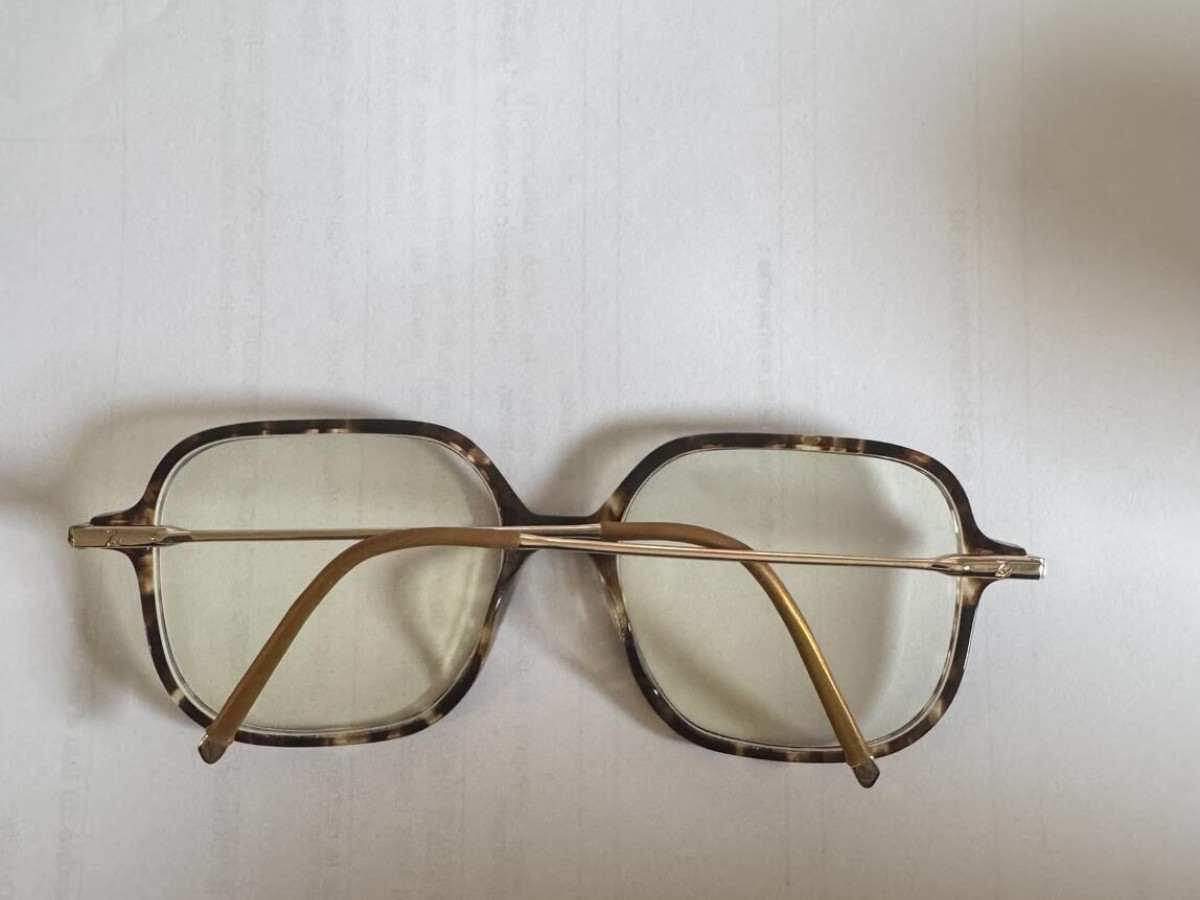 Zadig et Voltaire  - VZV328 0781 ECAILLE CLAIR 53&curren;17