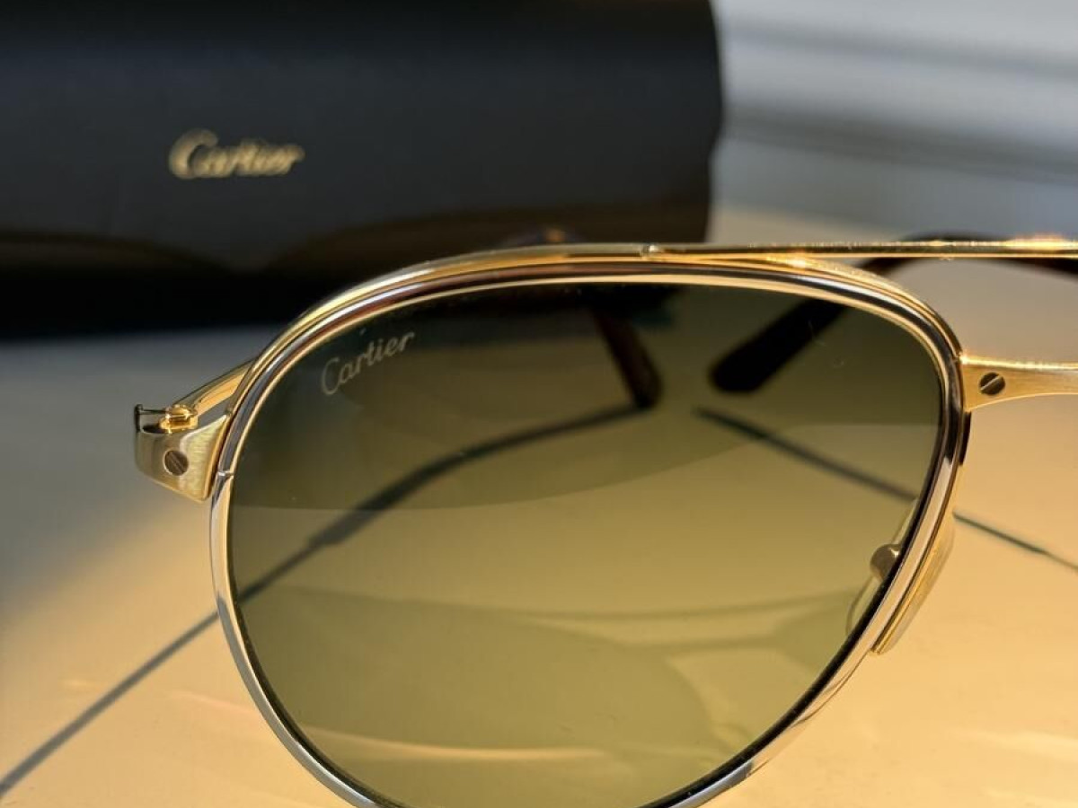 Cartier - CT0325S