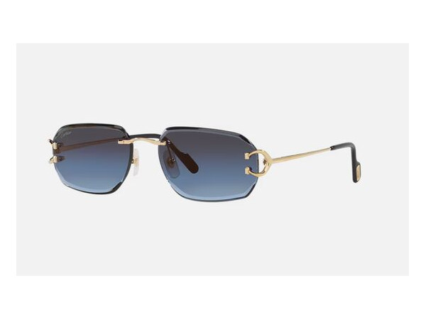 Cartier - CT0468S Universelle ¤