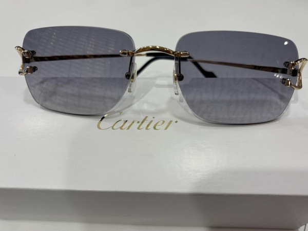 Cartier - CT0330s 007
