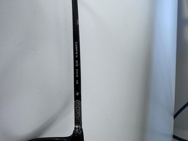 Paul and Joe - Clematis 14 E219 51&curren;16