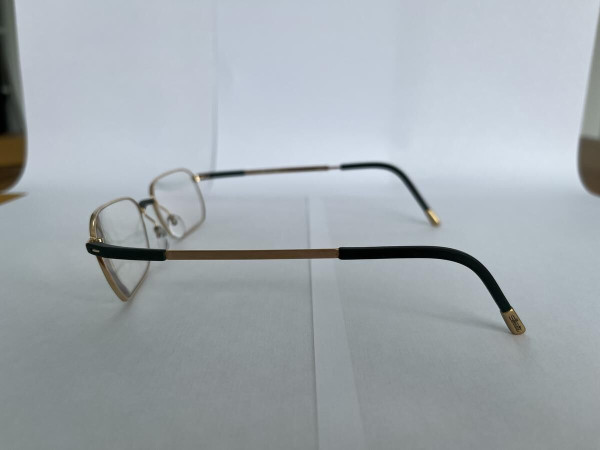 Silhouette  - 7566206052 52&curren;18