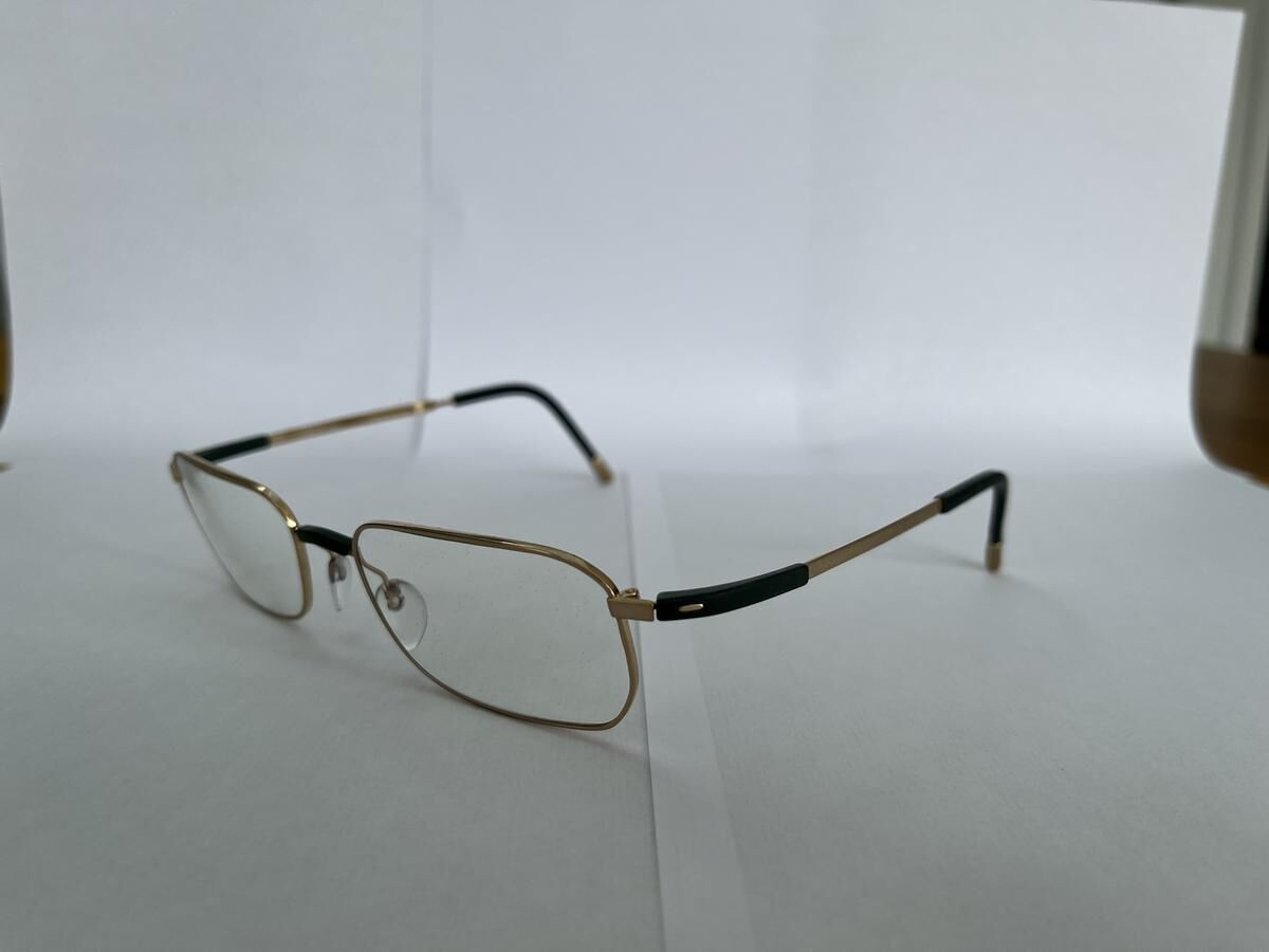 Silhouette  - 7566206052 52&curren;18