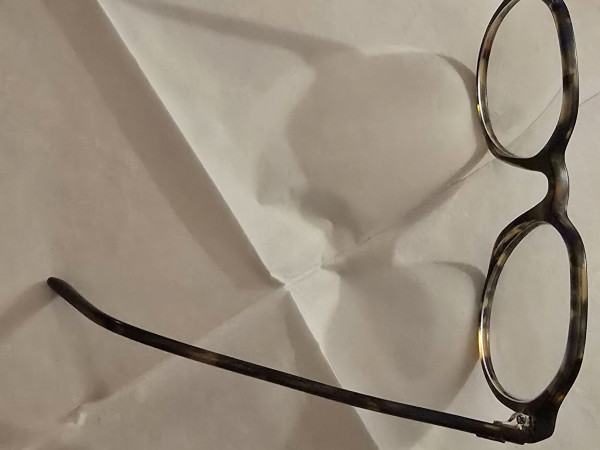 Rayban - Rb5395 thalia