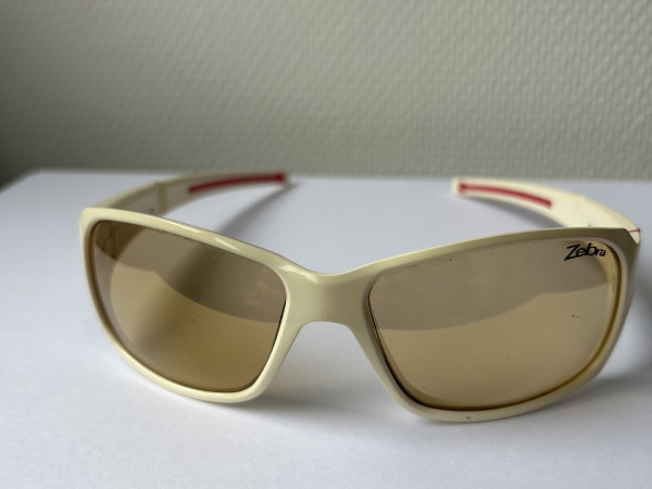 Julbo Sunglasses MonteRosa...