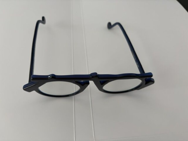 GASTONEYEWEAR - Gambetta...