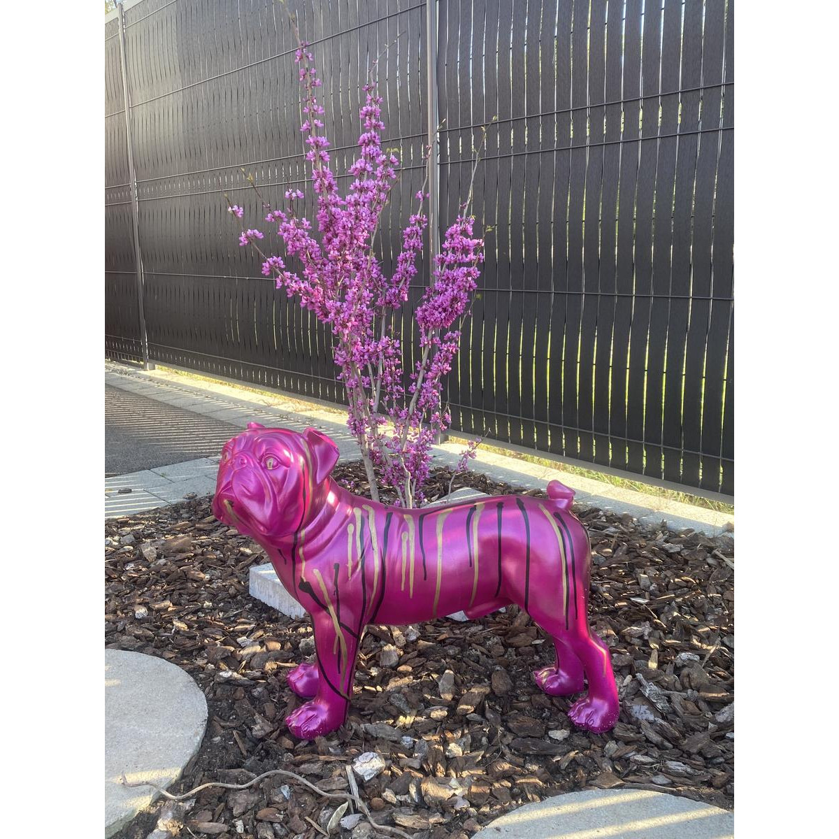 Les montures de Celia