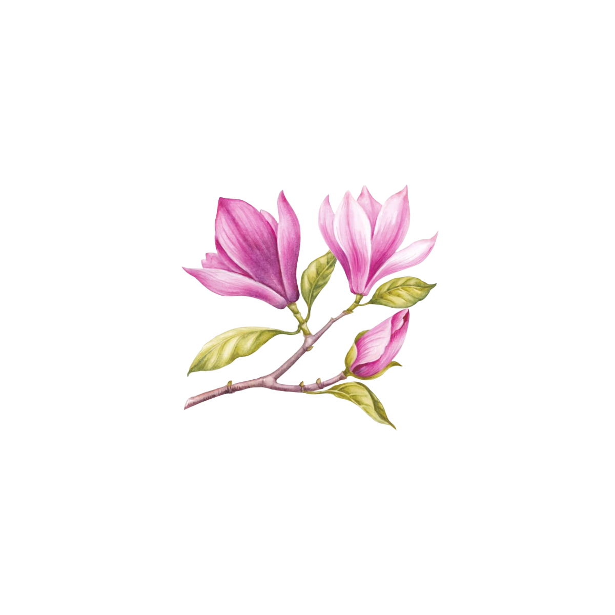 Cataleya