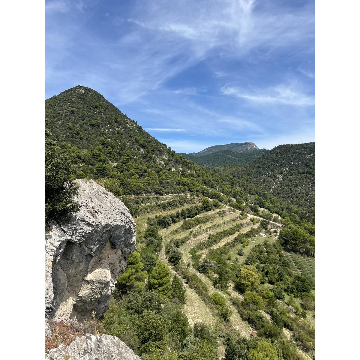 MaisonJoïa